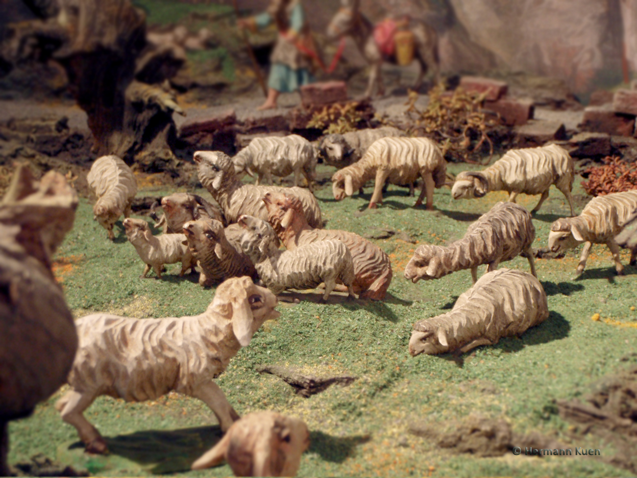 Gruppen Schafgruppe Verkuendigung 2