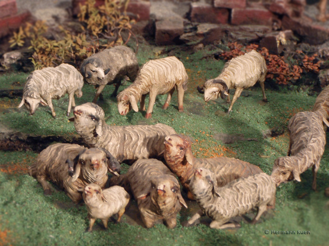 Gruppen Schafgruppe Verkuendigung 3