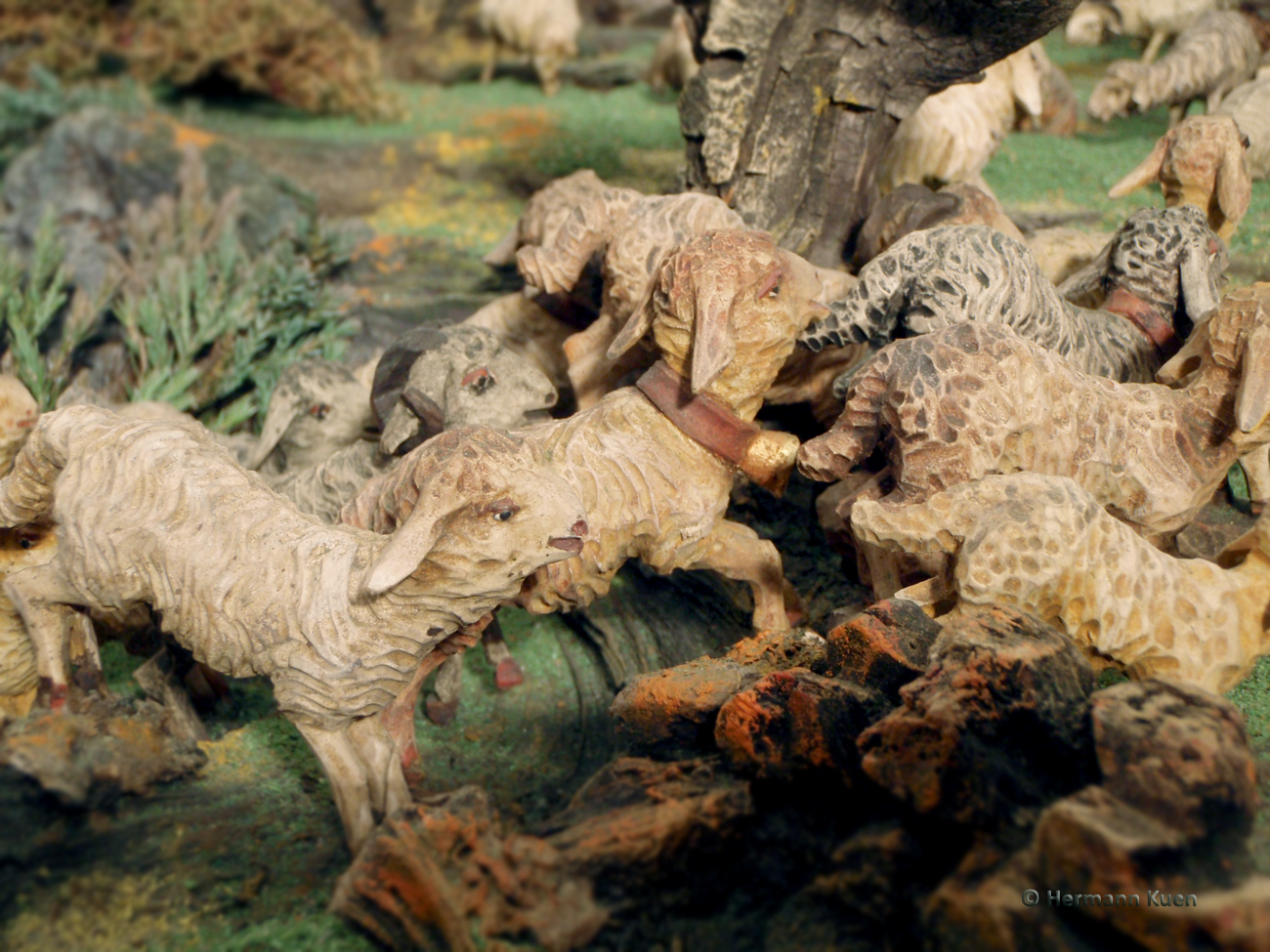 Gruppen Schafgruppe laufend 2